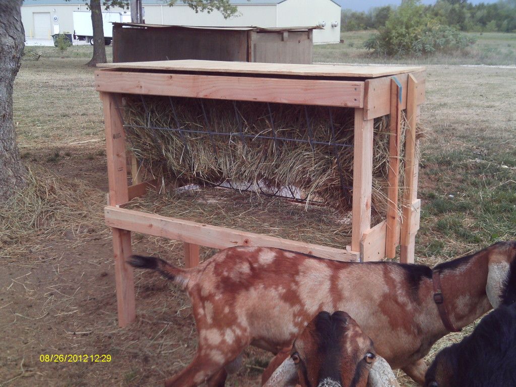 Hay feeder - Goats