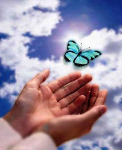 Butterfly and hands Pictures, Images and Photos