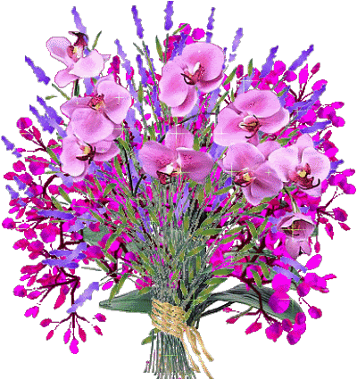 flowers, beautiful, animated Pictures, Images and Photos