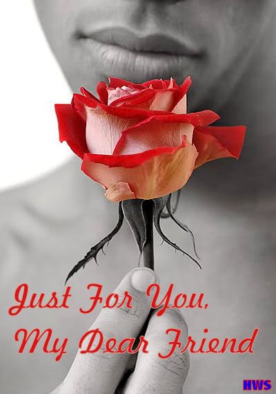 A Rose jusr for you Pictures, Images and Photos