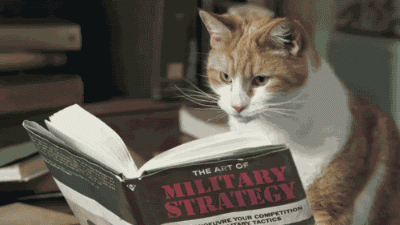 Kitty and the book, funny animated Pictures, Images and Photos