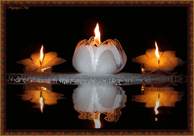 Candles Pictures, Images and Photos