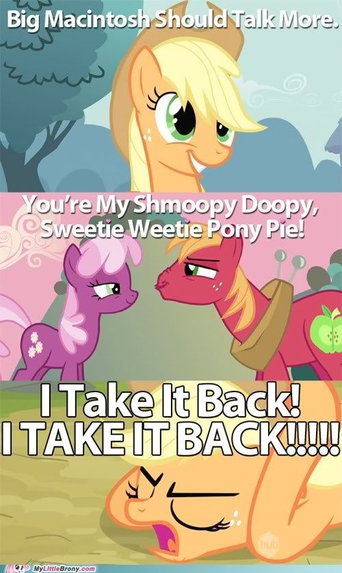 [Obrázek: my-little-pony-friendship-is-magic-brony...sh-for.jpg]