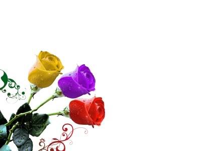 rose02.jpg%20roses%20image%20by%20coachbranigan