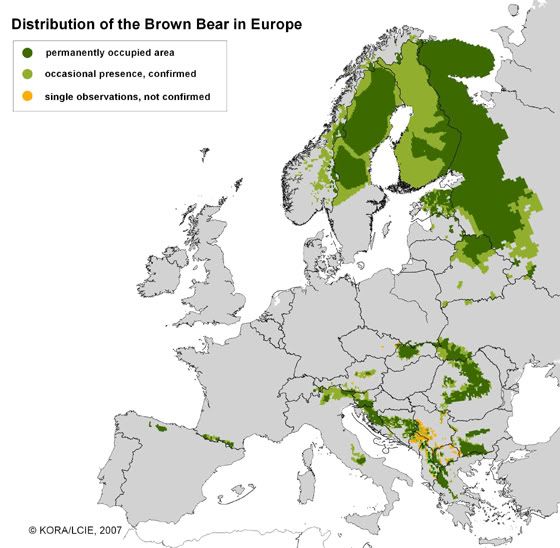 Distribution Density Of U Arctos In Europe Message Board