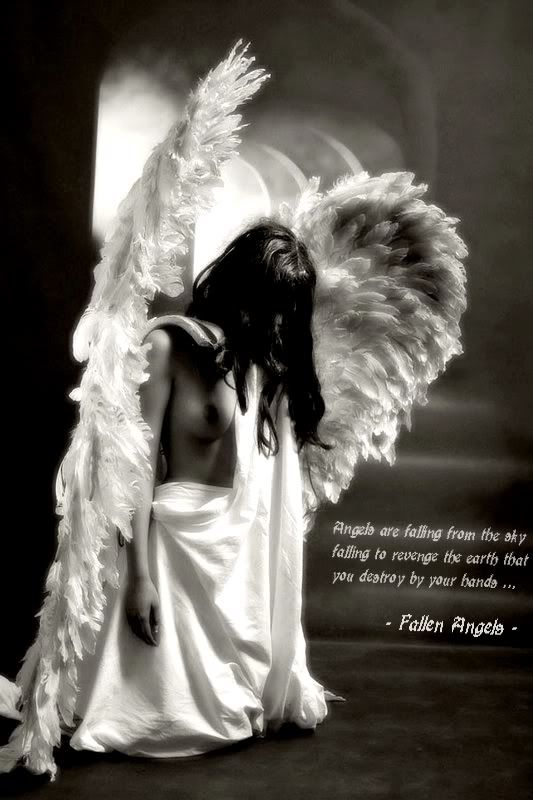 fallen angels photo:  fallen_angel1.jpg
