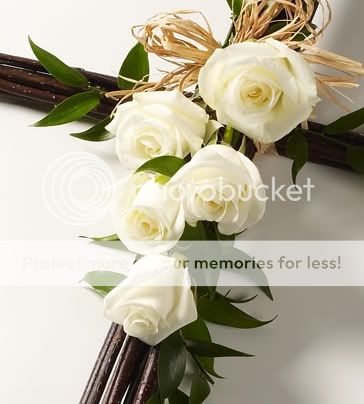  photo white rose.jpg